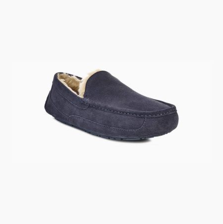 UGG Ascot - Tøfler Herre - Marineblå (NO-L979)